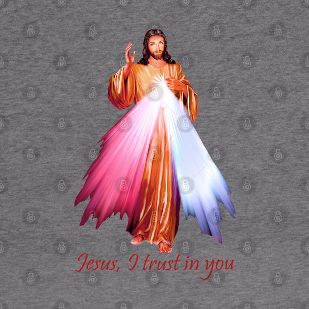 Divine Mercy Image by Brasilia Catholic